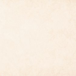 cream texture background paper in beige vintage color, parchment paper, abstract pastel gold gradient with brown, solid website background.